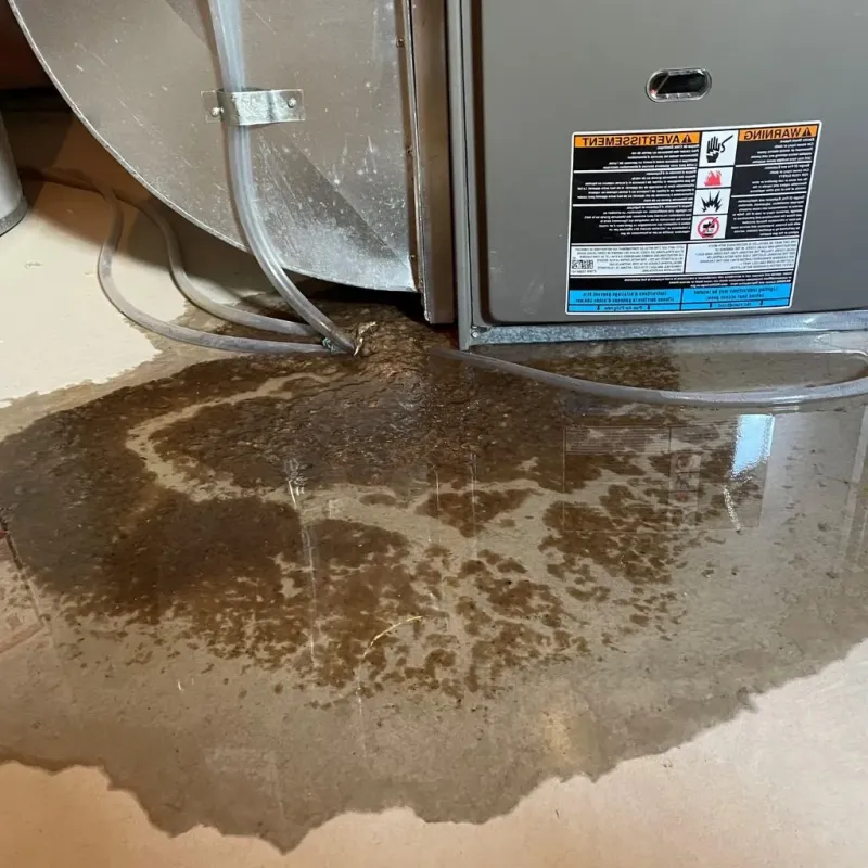 Pipe Burst and Leak Restoration in Somerset County, ME