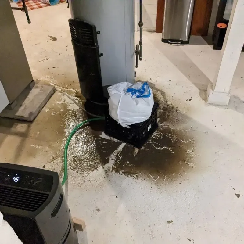 Sewage Backup Cleanup Service in Somerset County, ME